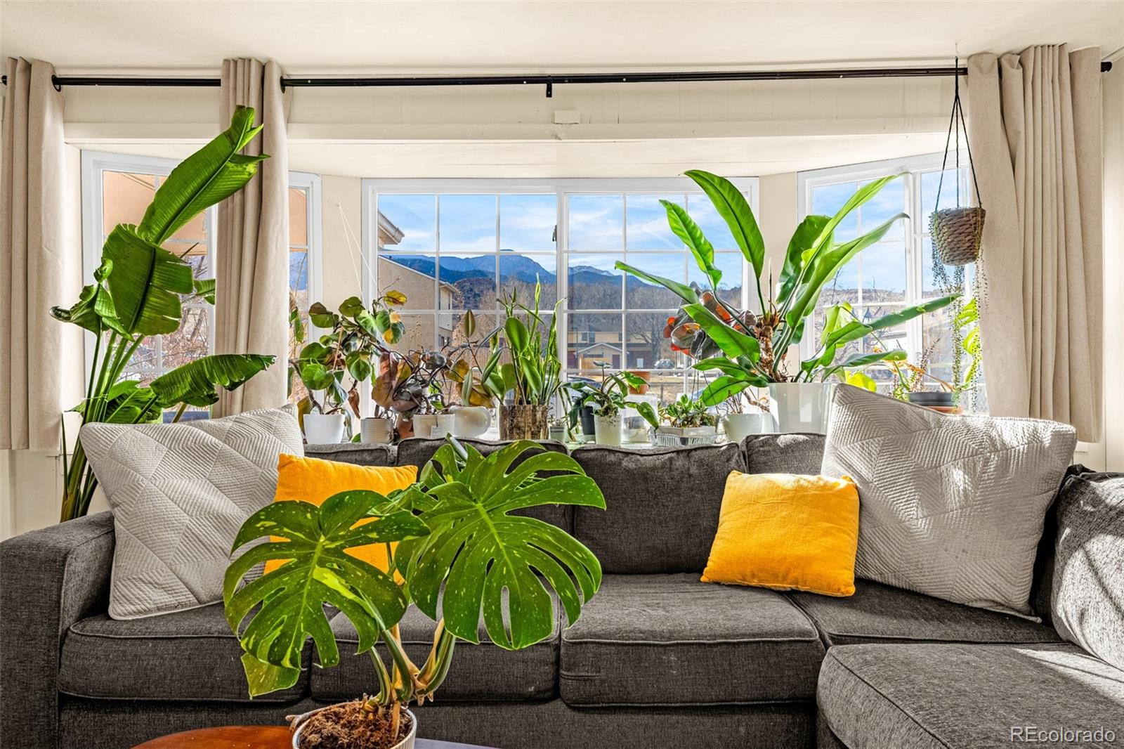 MLS Image #7 for 1041  market street,colorado springs, Colorado