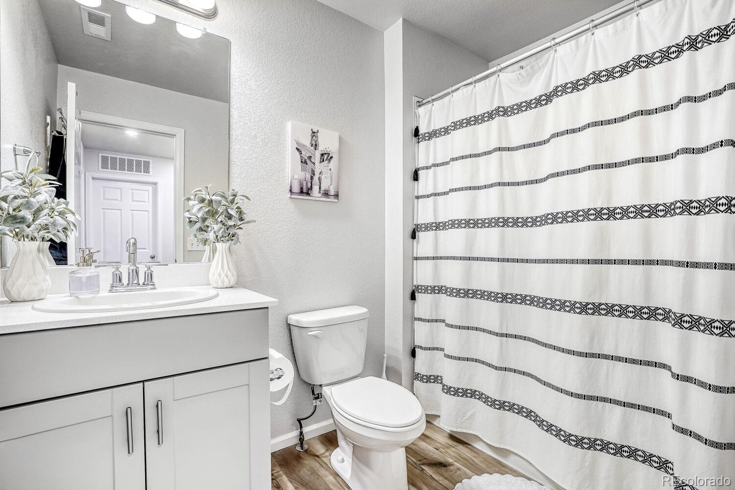 MLS Image #12 for 12237  creamery street,thornton, Colorado