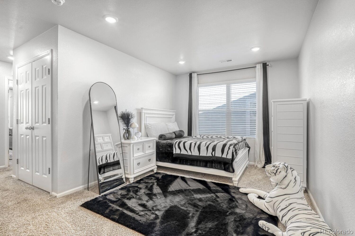 MLS Image #14 for 12237  creamery street,thornton, Colorado