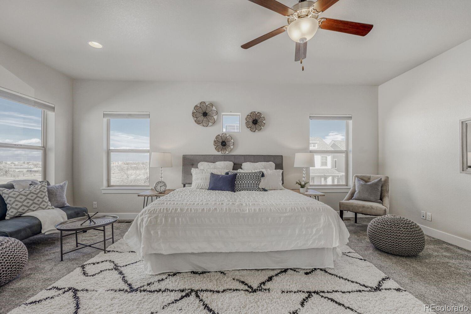 MLS Image #15 for 2861  lima street,denver, Colorado