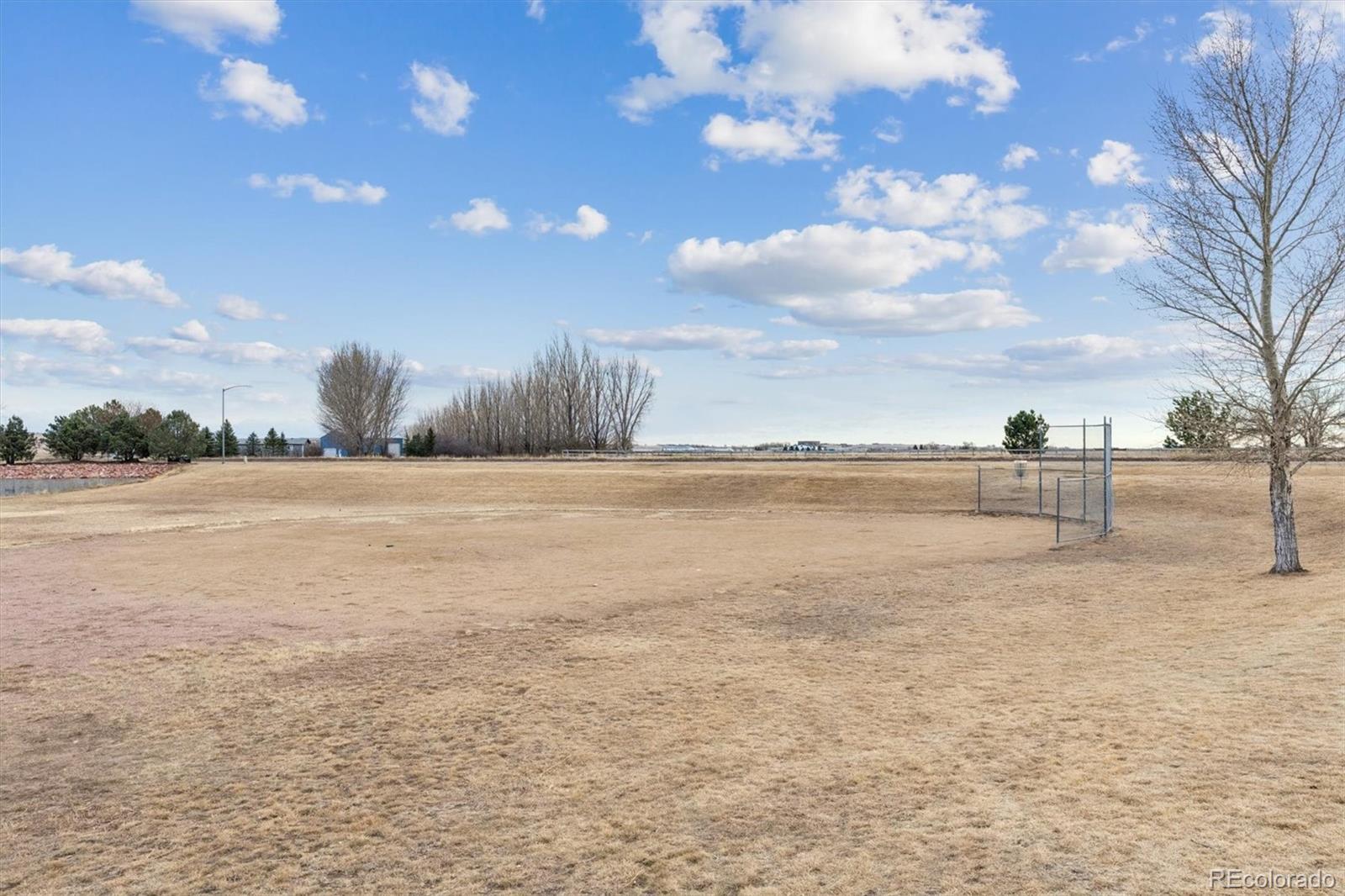 MLS Image #20 for 6835  lee street,wellington, Colorado