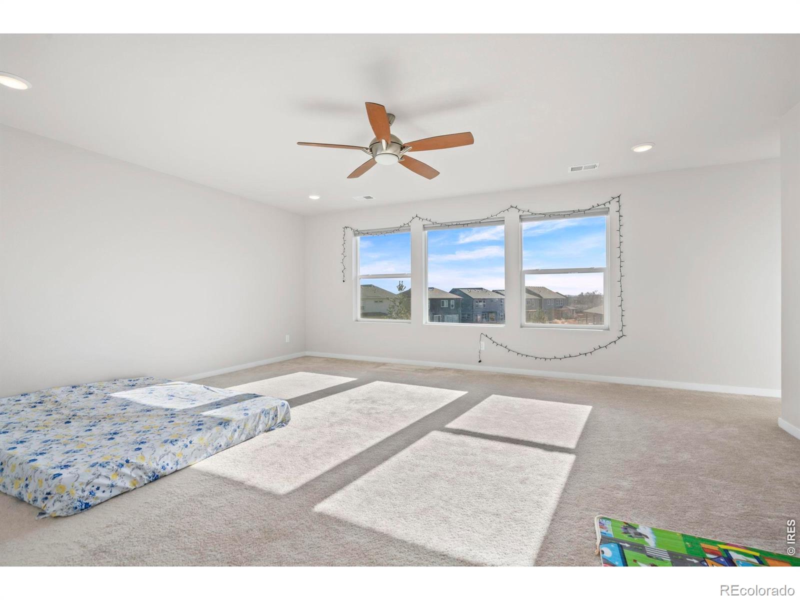 MLS Image #20 for 5233  2nd avenue,timnath, Colorado