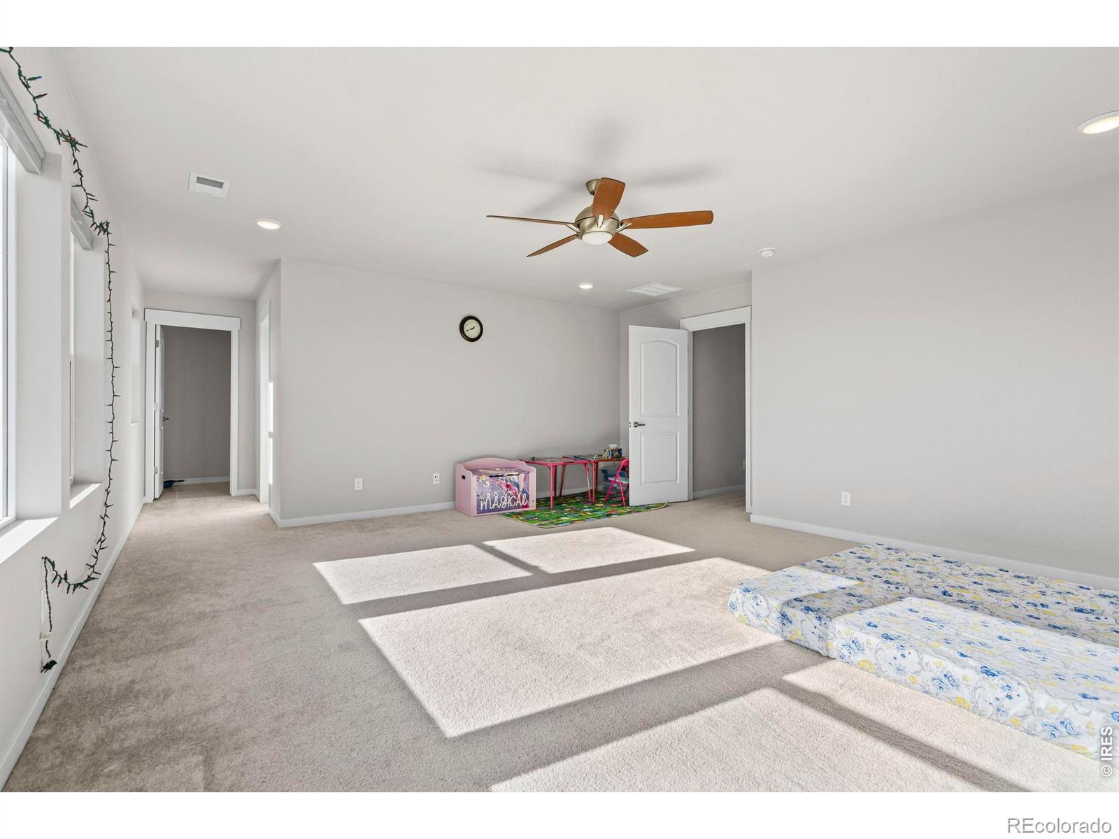 MLS Image #21 for 5233  2nd avenue,timnath, Colorado