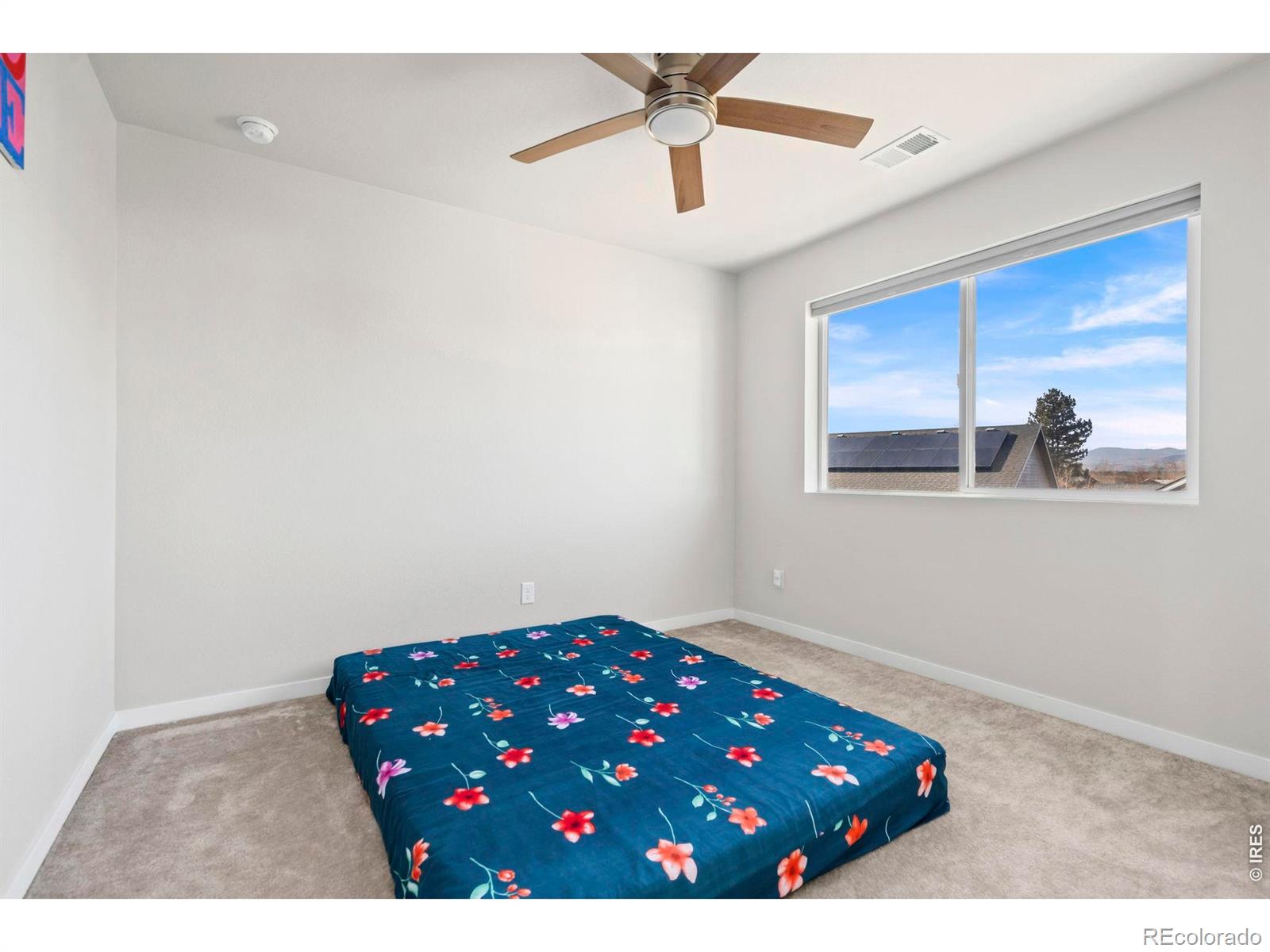 MLS Image #26 for 5233  2nd avenue,timnath, Colorado