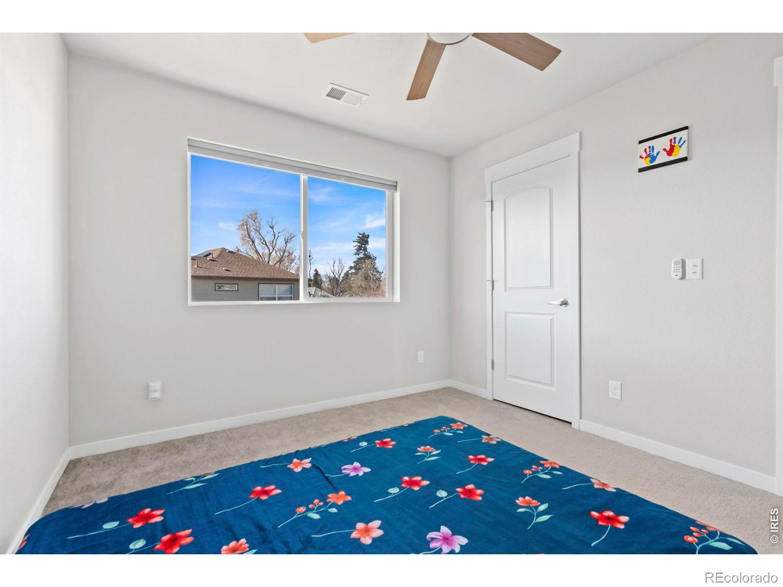 MLS Image #27 for 5233  2nd avenue,timnath, Colorado
