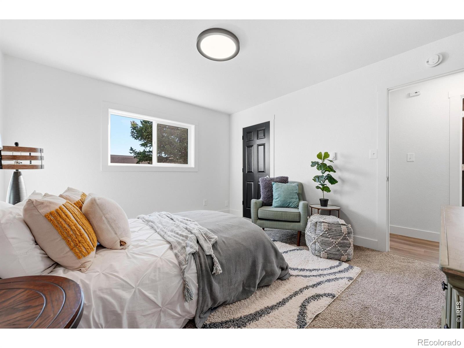 MLS Image #15 for 8120  mummy range drive,fort collins, Colorado