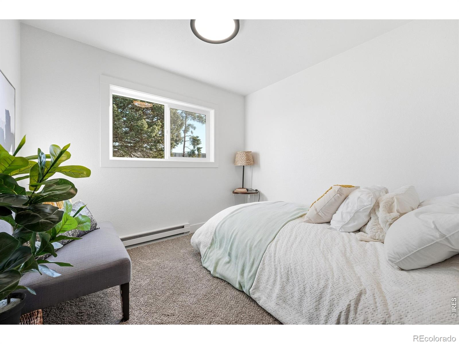 MLS Image #19 for 8120  mummy range drive,fort collins, Colorado