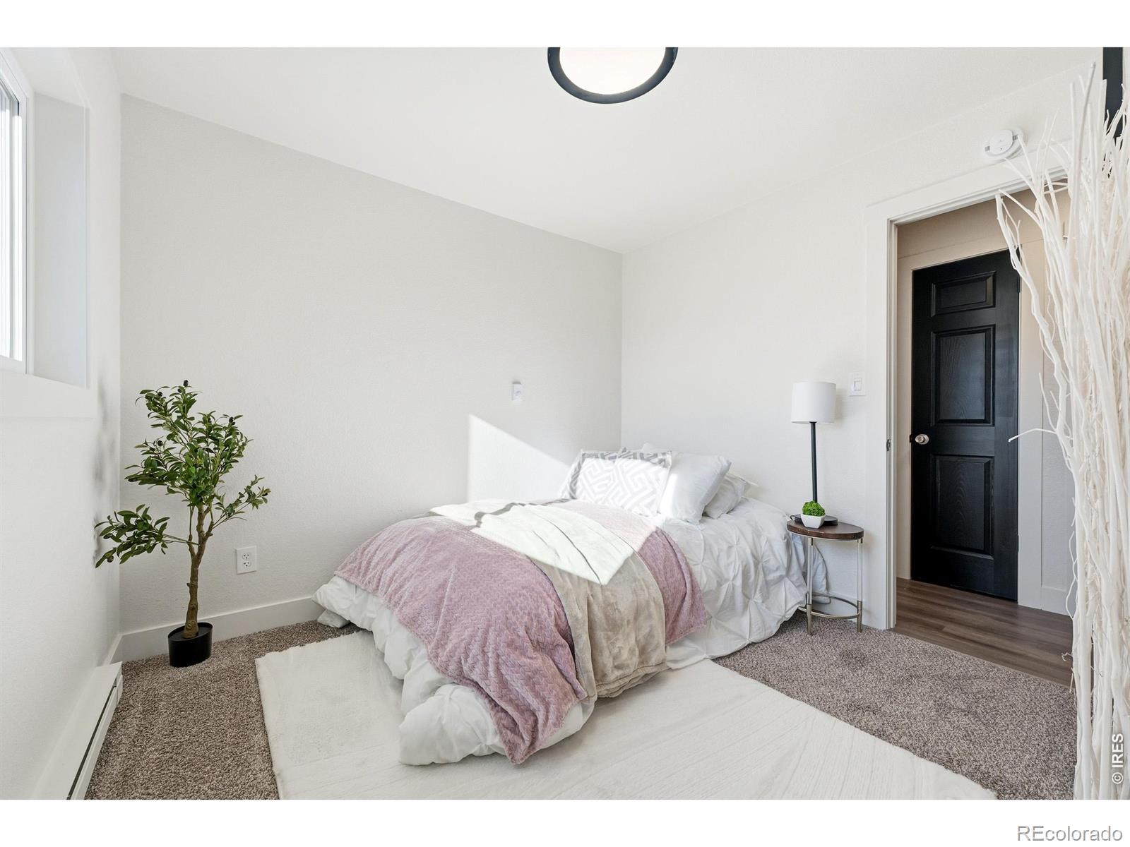 MLS Image #24 for 8120  mummy range drive,fort collins, Colorado