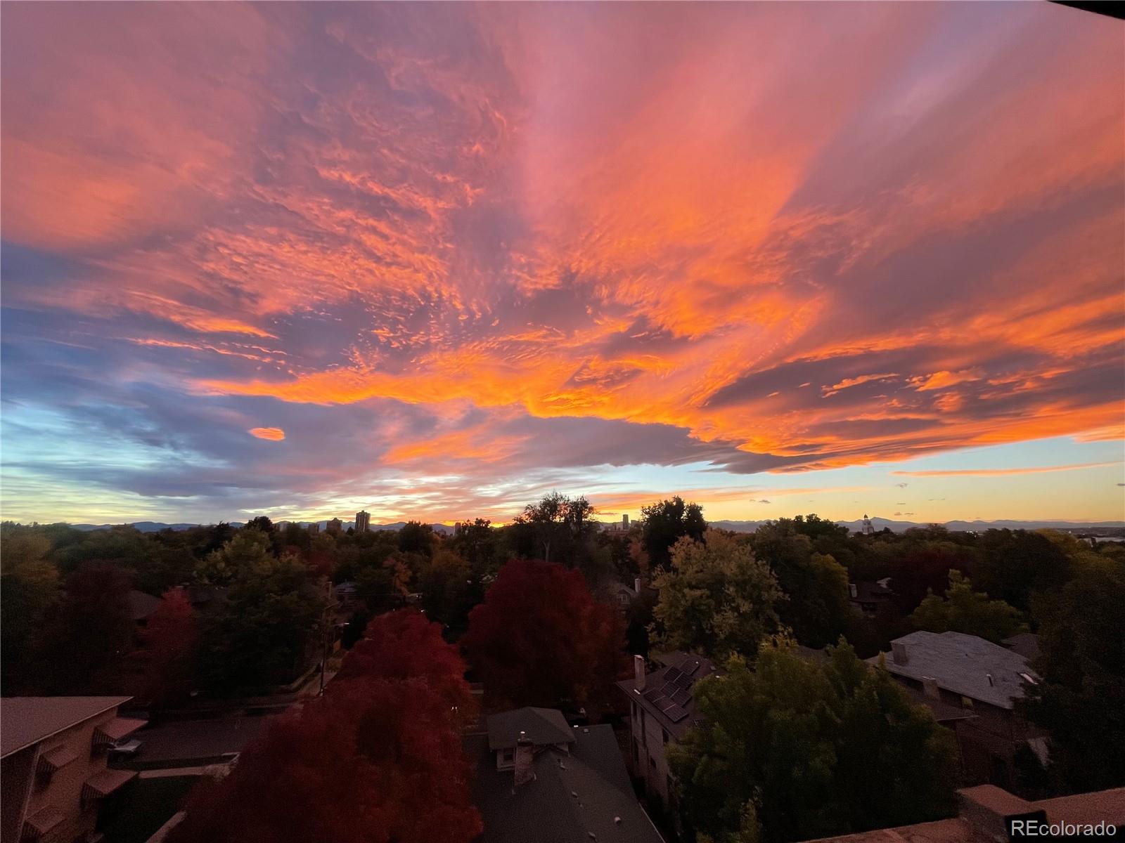 MLS Image #33 for 1313  steele street,denver, Colorado