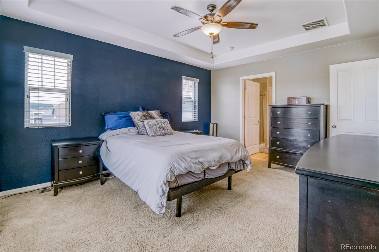 MLS Image #18 for 3810  cadence drive,castle rock, Colorado