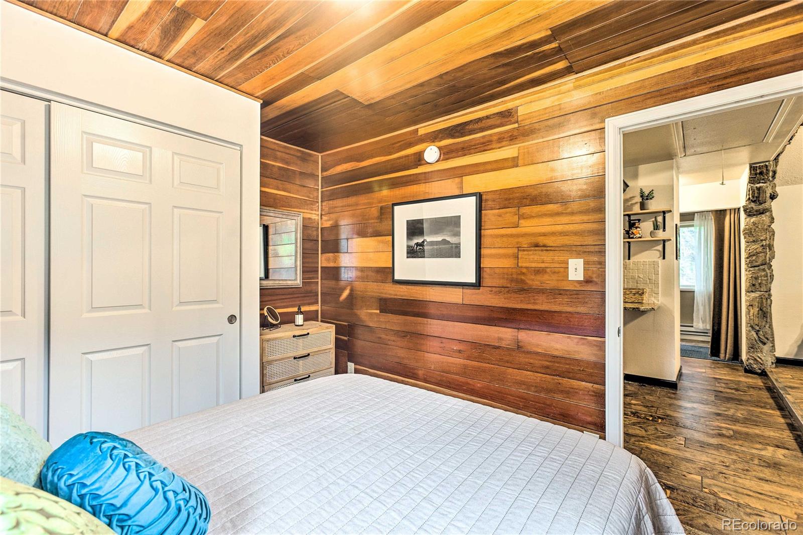 MLS Image #17 for 7559 s turkey creek road,morrison, Colorado