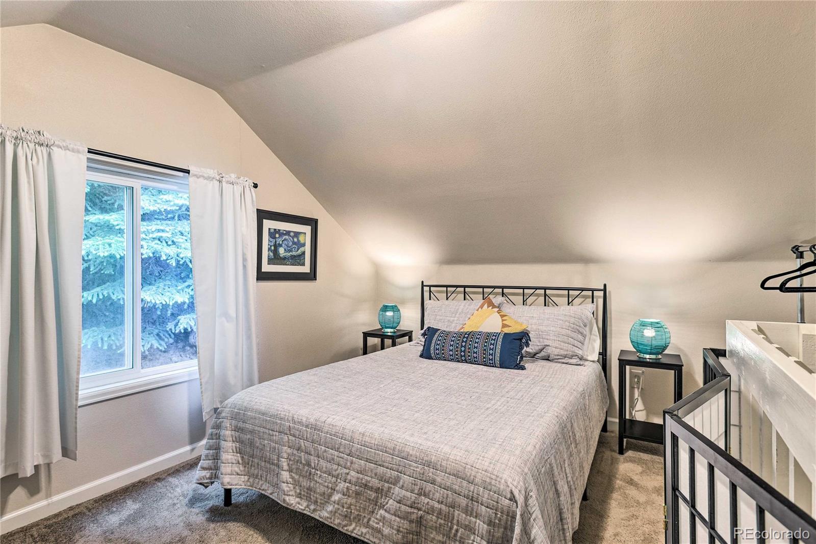 MLS Image #21 for 7559 s turkey creek road,morrison, Colorado
