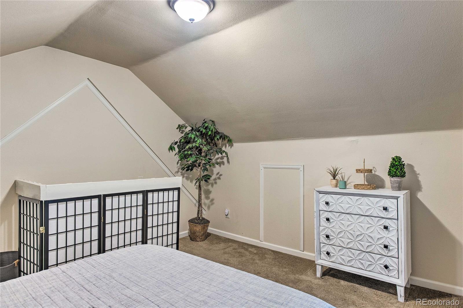 MLS Image #23 for 7559 s turkey creek road,morrison, Colorado