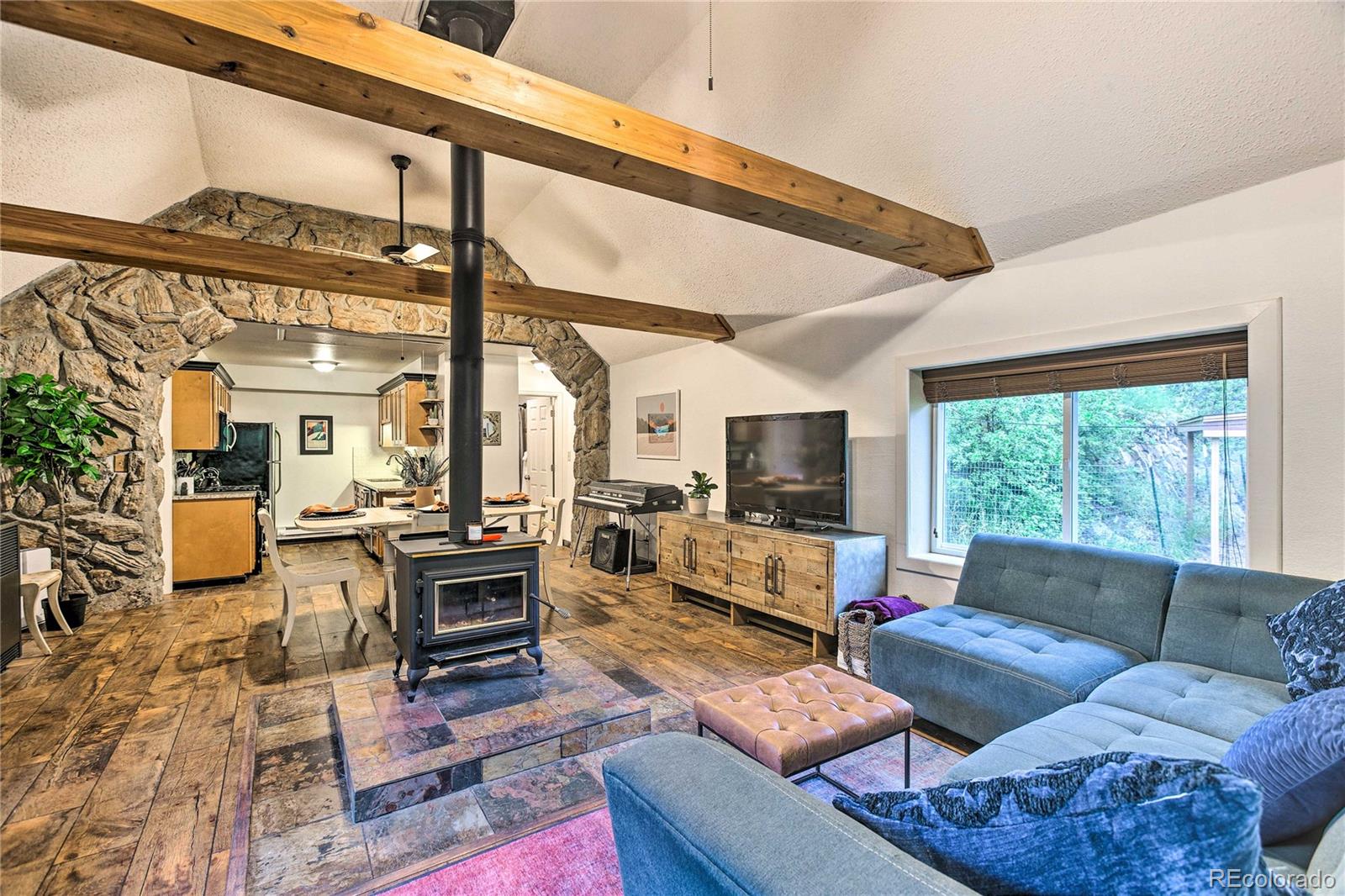 MLS Image #5 for 7559 s turkey creek road,morrison, Colorado