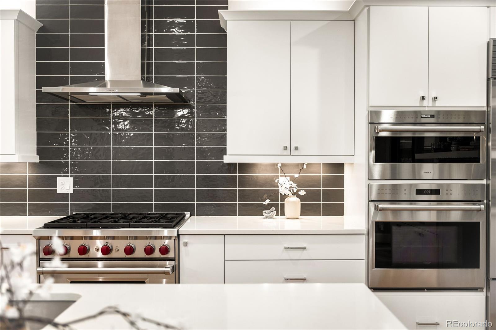 MLS Image #10 for 3221  zuni street,denver, Colorado