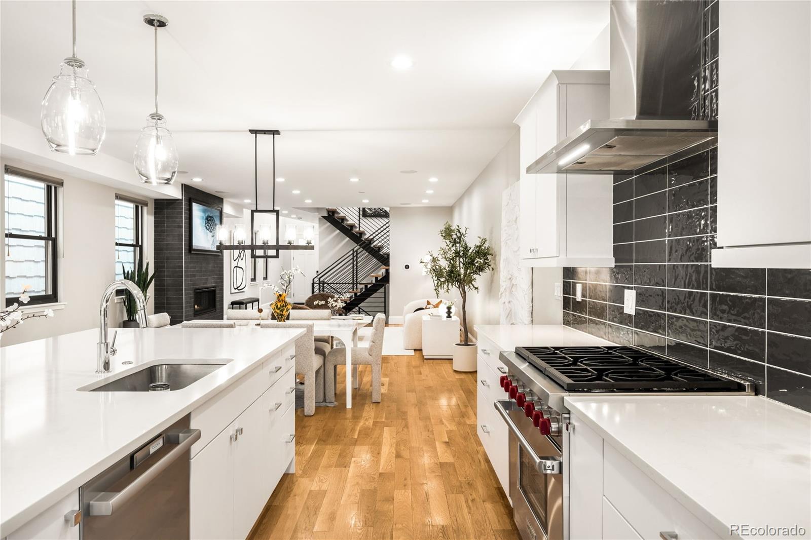 MLS Image #13 for 3221  zuni street,denver, Colorado