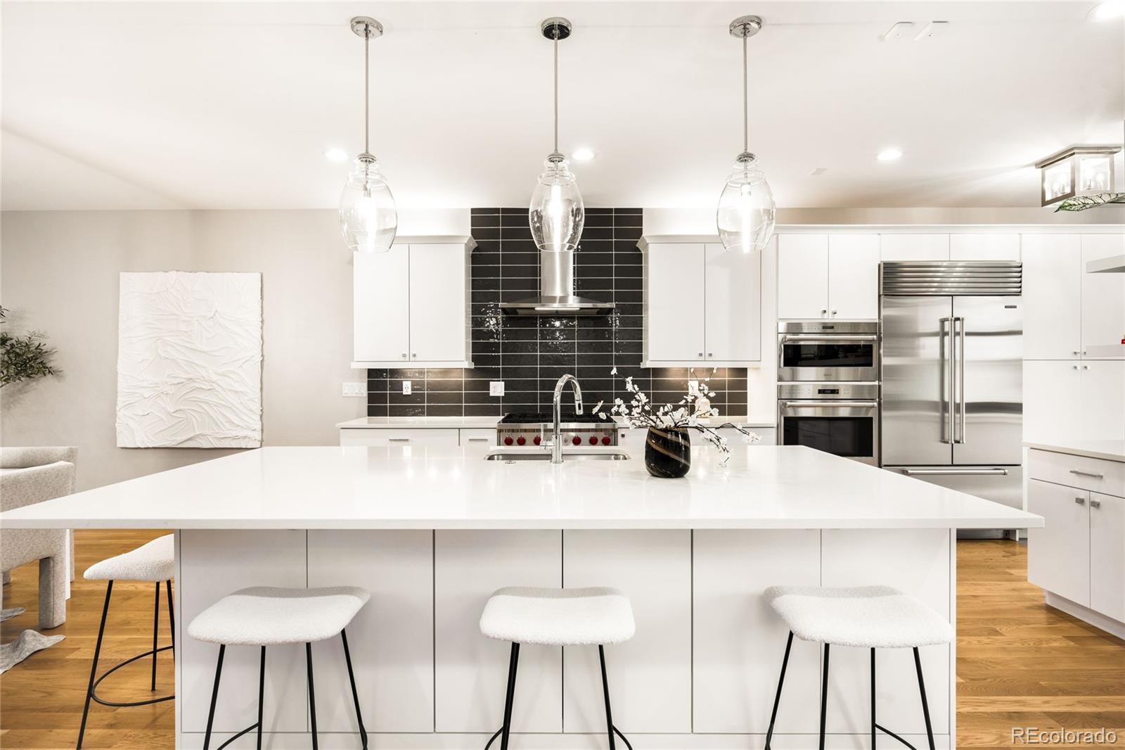 MLS Image #9 for 3221  zuni street,denver, Colorado