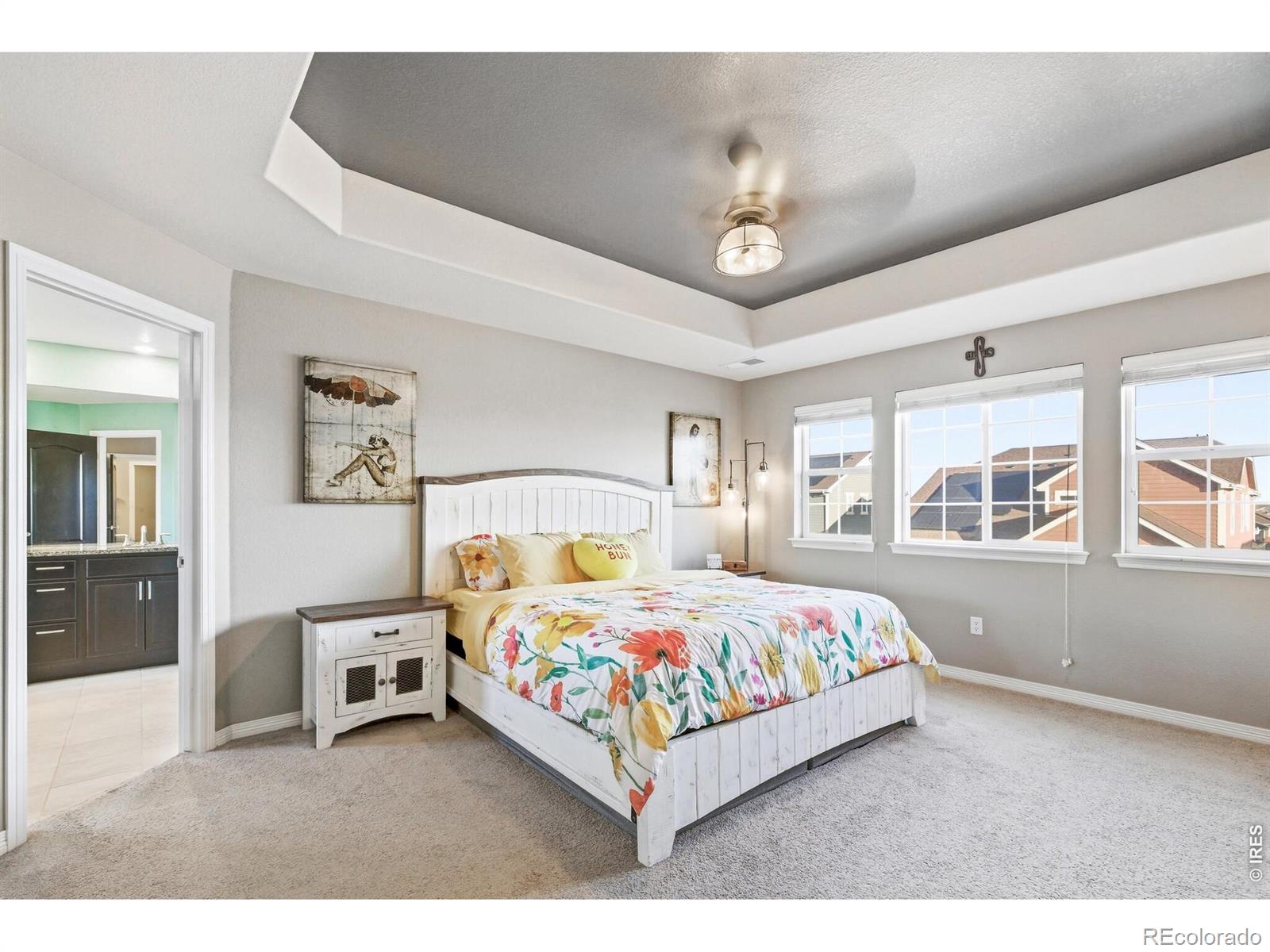 MLS Image #14 for 2763 e 161st place,thornton, Colorado
