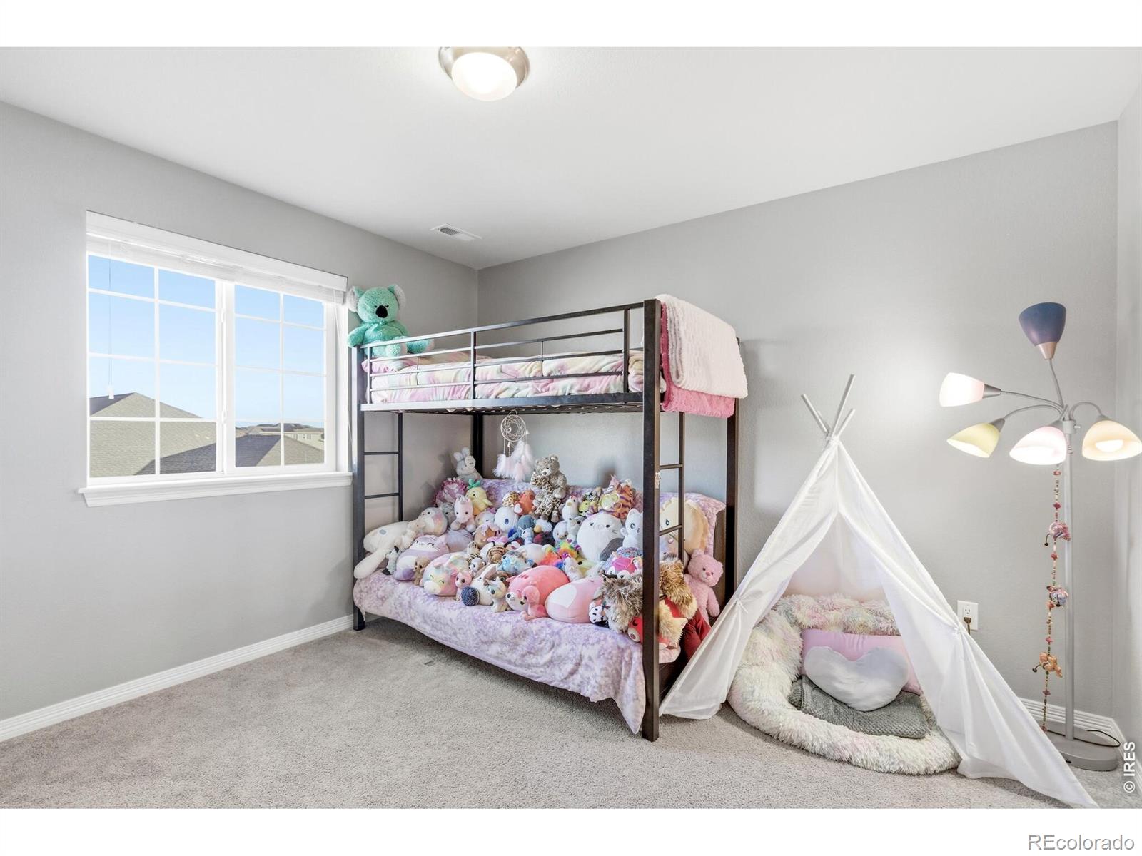 MLS Image #25 for 2763 e 161st place,thornton, Colorado