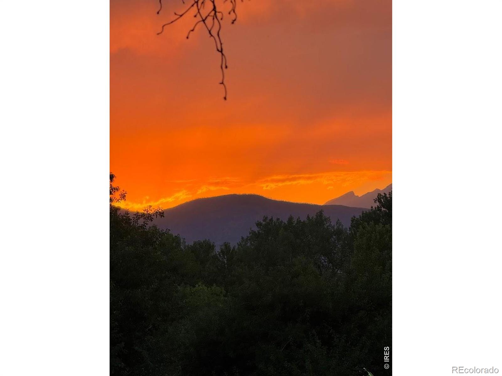 MLS Image #33 for 8840  niwot road,niwot, Colorado