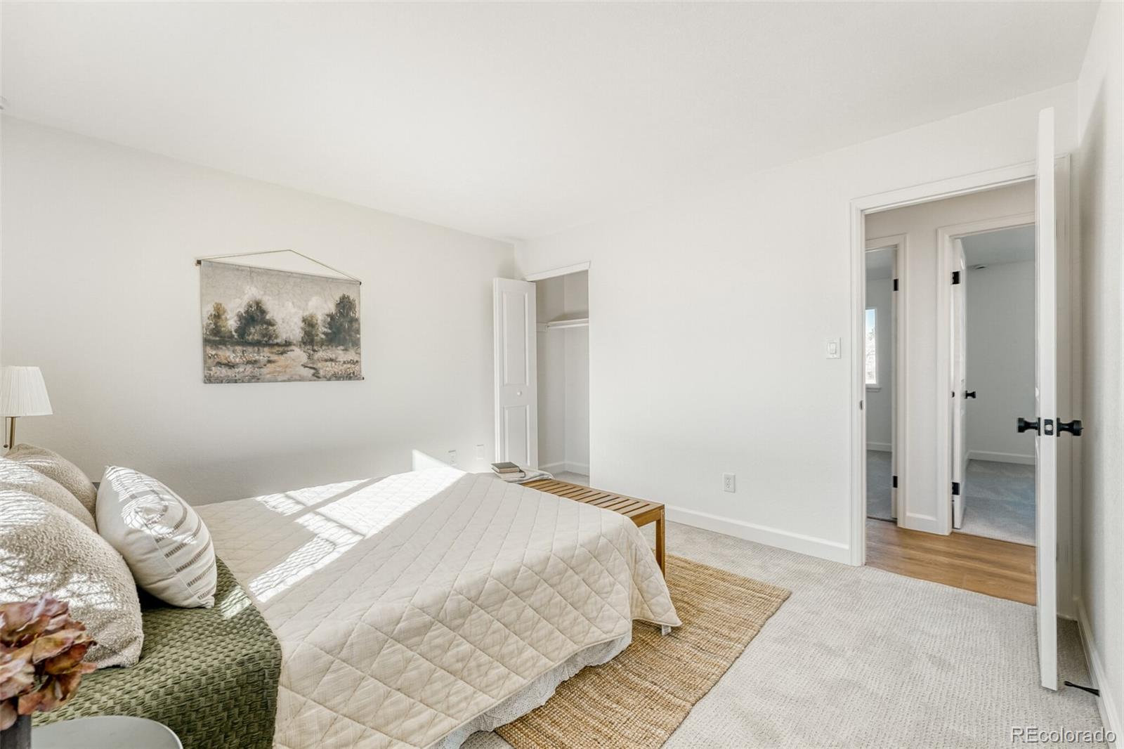 MLS Image #15 for 1529 s nucla street,aurora, Colorado