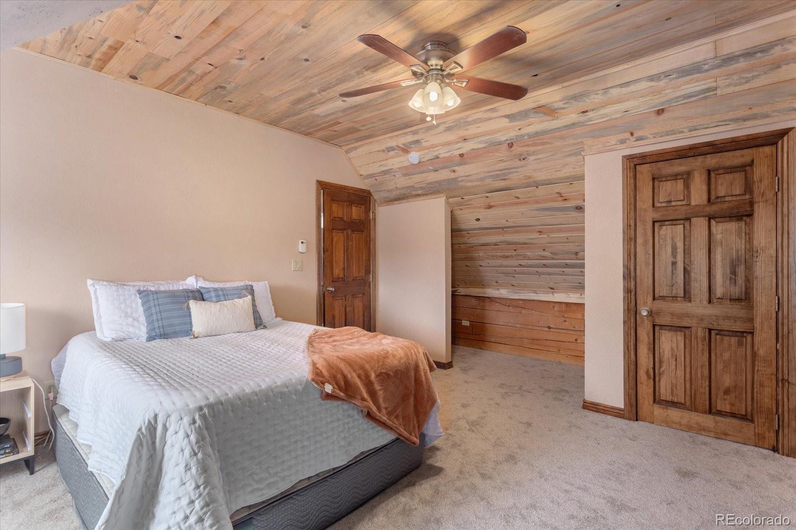 MLS Image #28 for 33299  county road 371 ,buena vista, Colorado