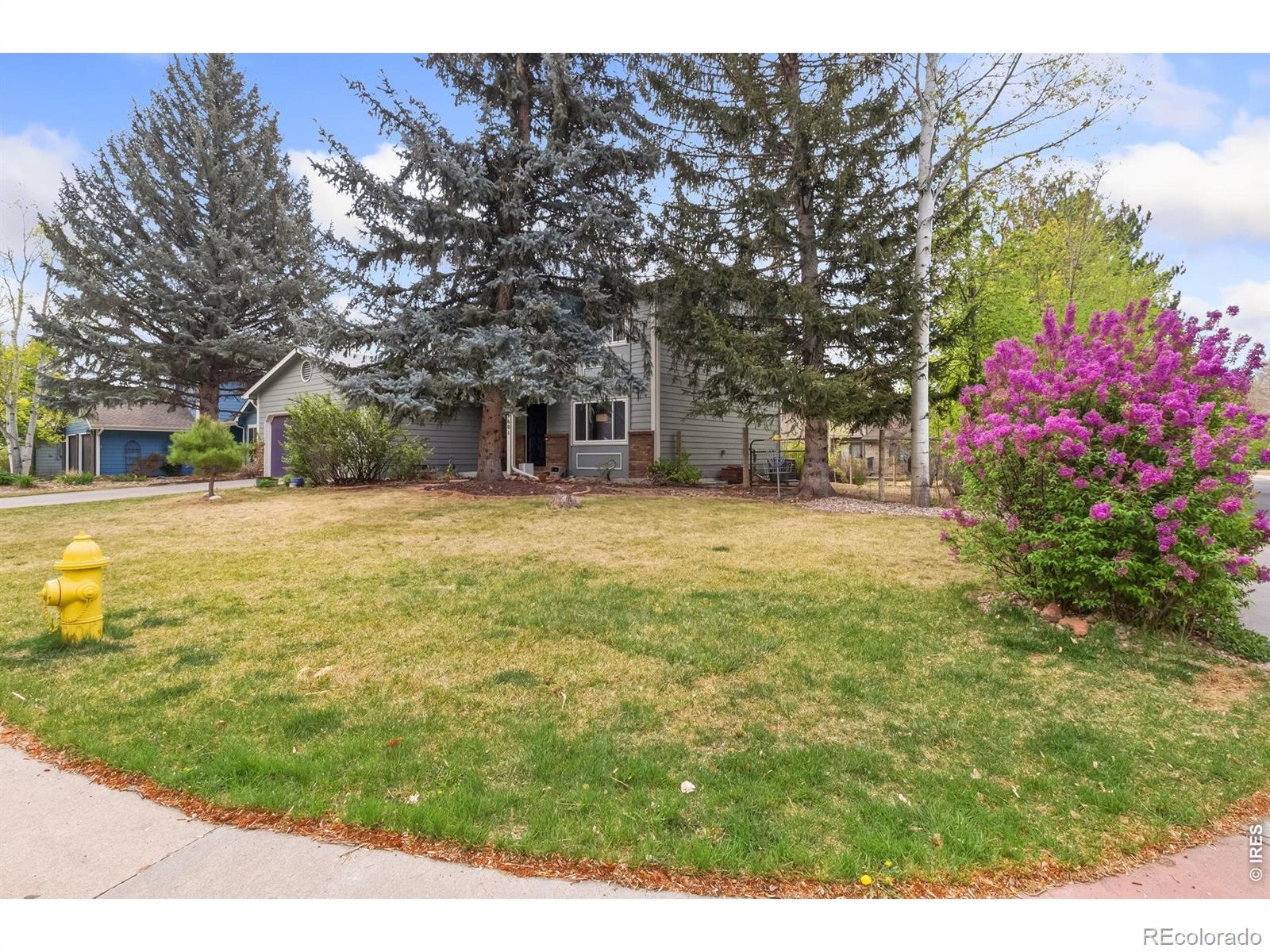 MLS Image #1 for 1601  sagewood drive,fort collins, Colorado