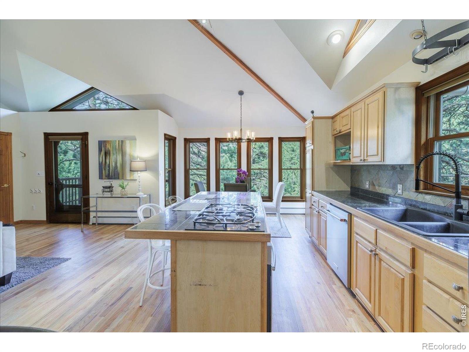 MLS Image #3 for 101  spruce street,jamestown, Colorado