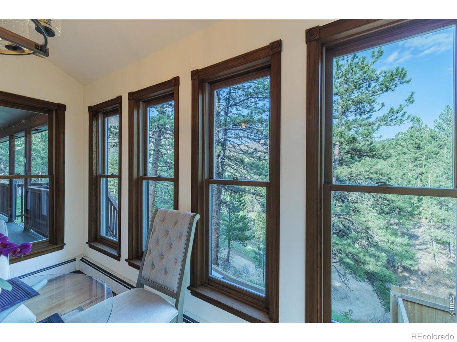 MLS Image #5 for 101  spruce street,jamestown, Colorado