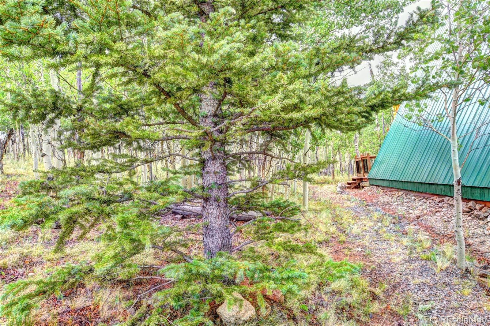 MLS Image #42 for 567  haida road,como, Colorado
