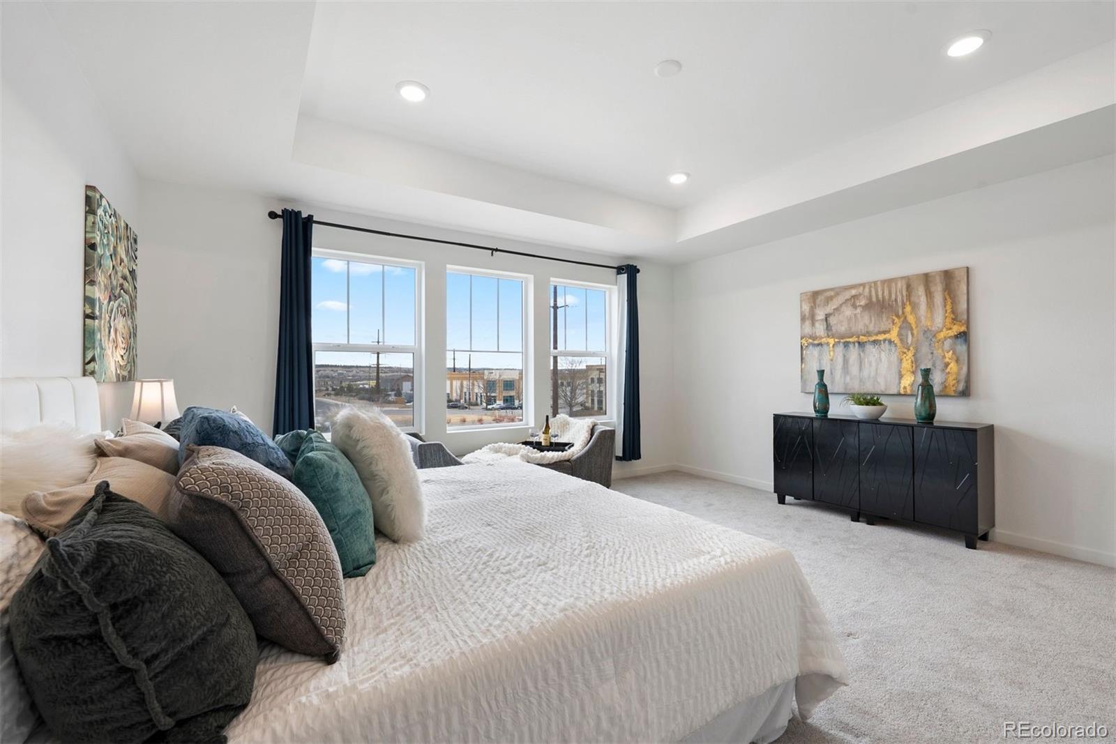 MLS Image #21 for 9092  zeta pass court ,parker, Colorado