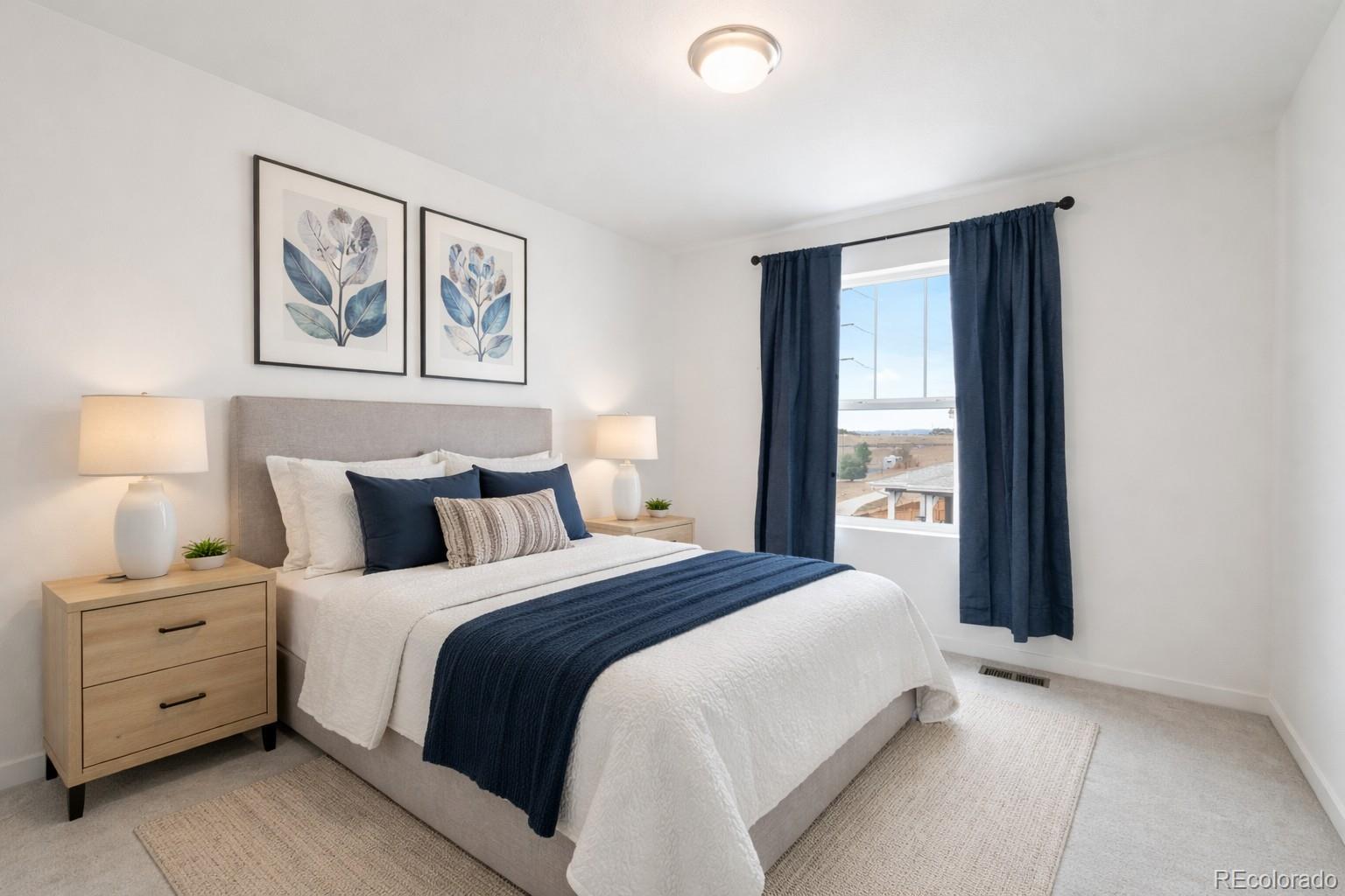 MLS Image #25 for 9092  zeta pass court ,parker, Colorado