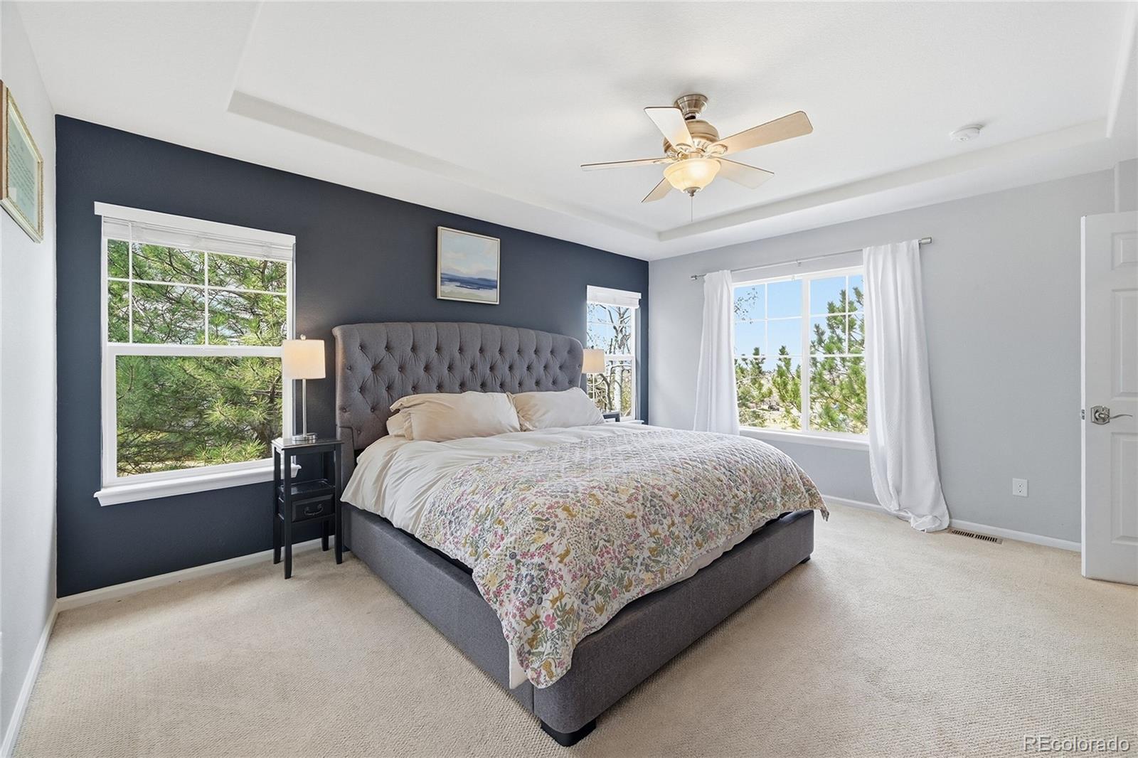 MLS Image #15 for 10559  jewelberry trail,highlands ranch, Colorado