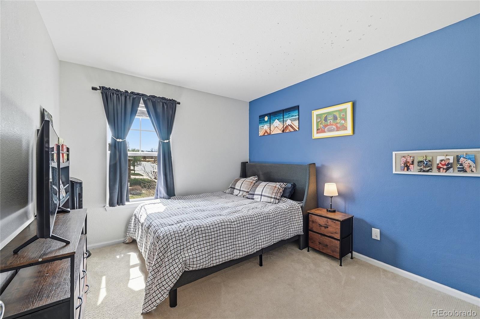 MLS Image #19 for 10559  jewelberry trail,highlands ranch, Colorado