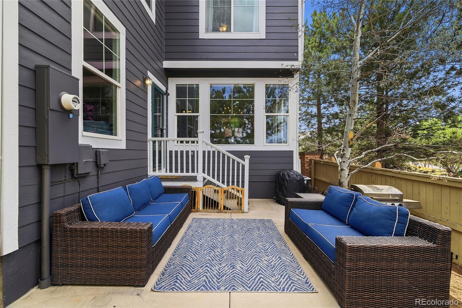 MLS Image #22 for 10559  jewelberry trail,highlands ranch, Colorado
