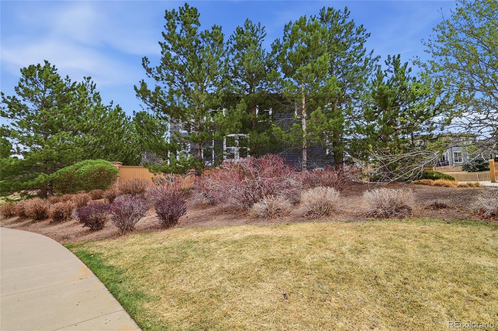 MLS Image #26 for 10559  jewelberry trail,highlands ranch, Colorado