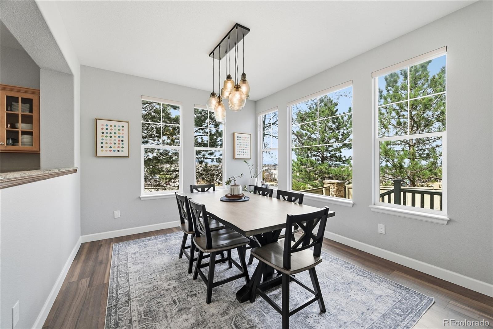 MLS Image #6 for 10559  jewelberry trail,highlands ranch, Colorado