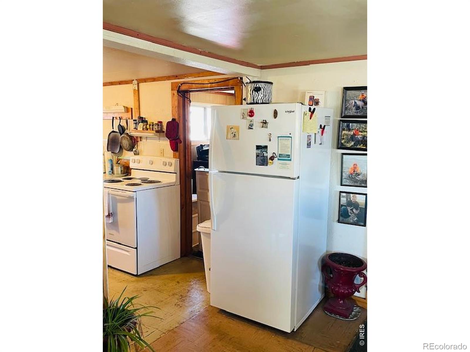 MLS Image #5 for 248  lafever street,walden, Colorado