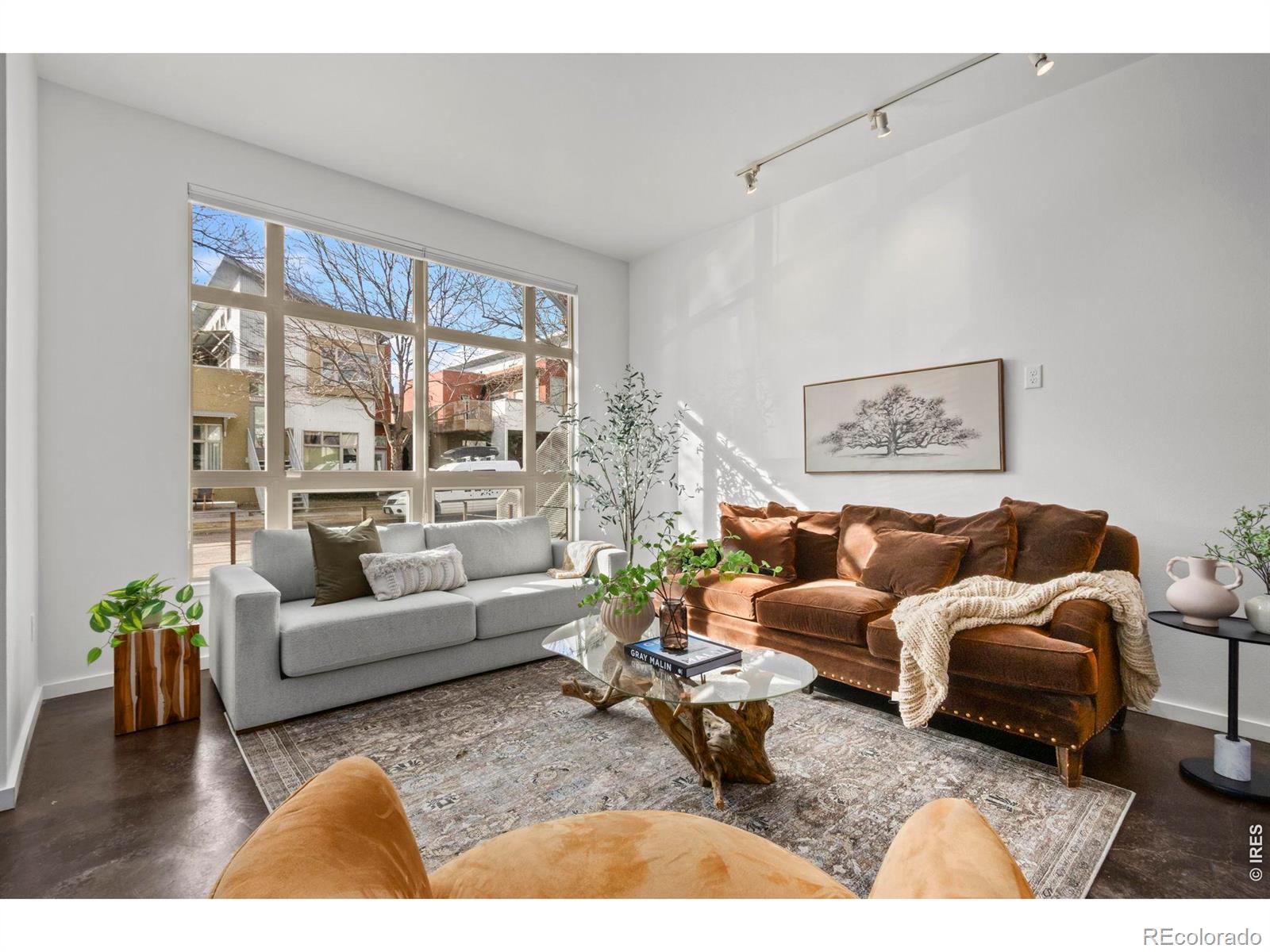 MLS Image #4 for 802  blondel street,fort collins, Colorado