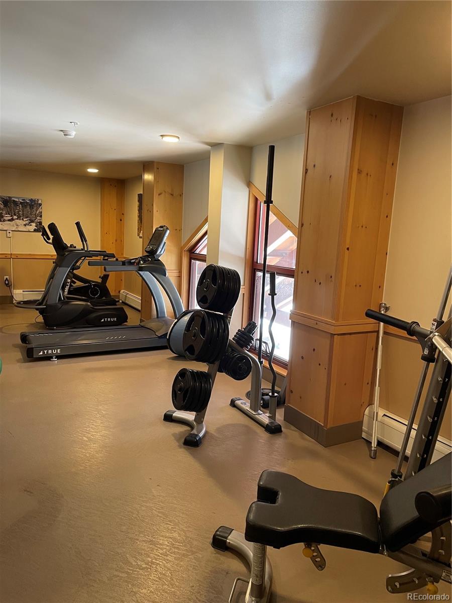 MLS Image #17 for 105  wheeler circle,frisco, Colorado