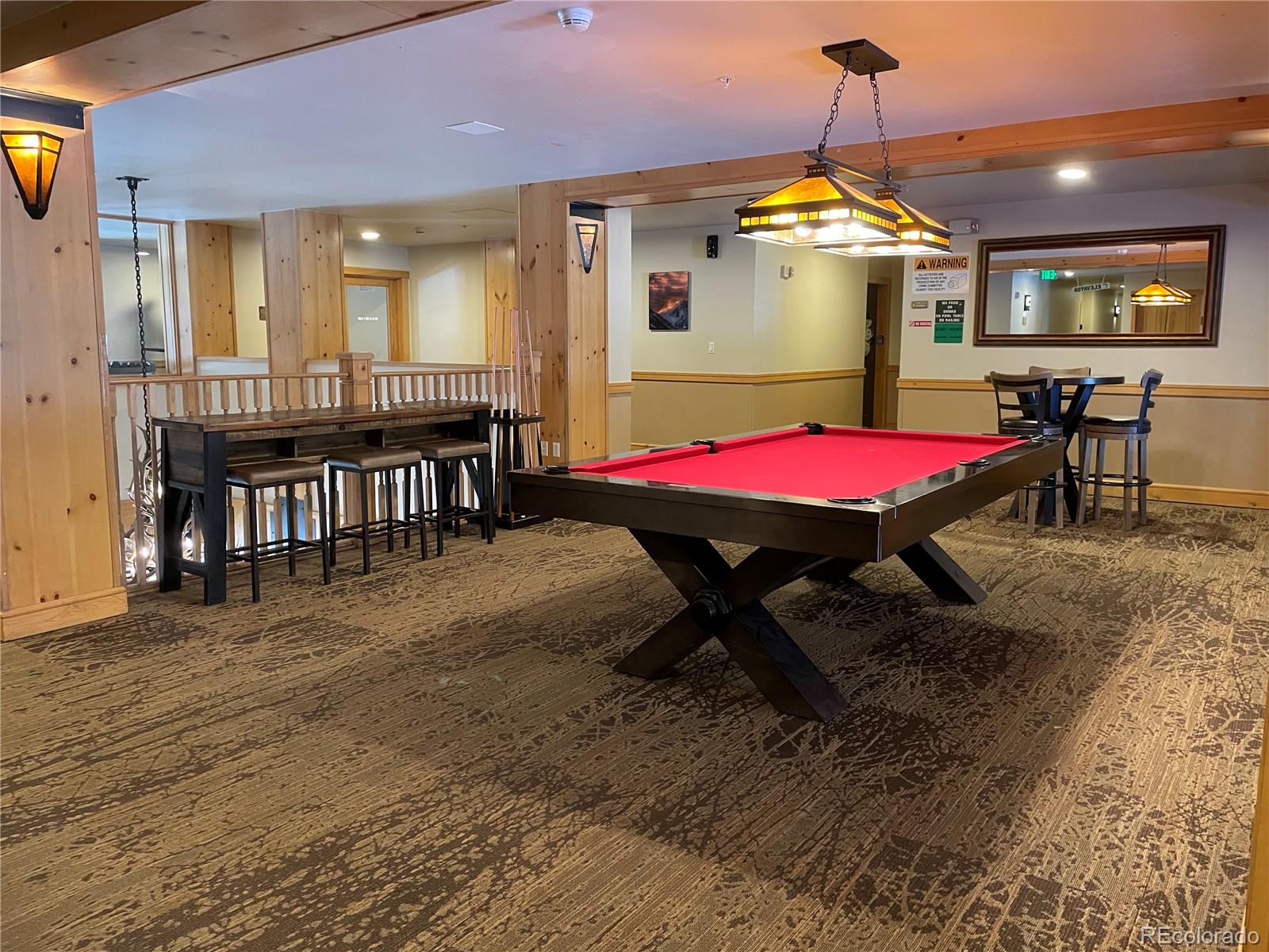 MLS Image #19 for 105  wheeler circle,frisco, Colorado