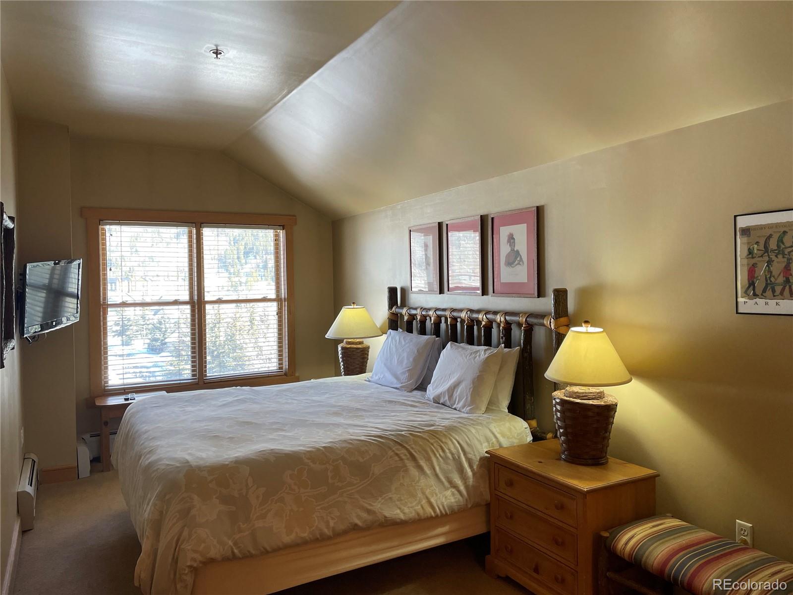 MLS Image #5 for 105  wheeler circle,frisco, Colorado