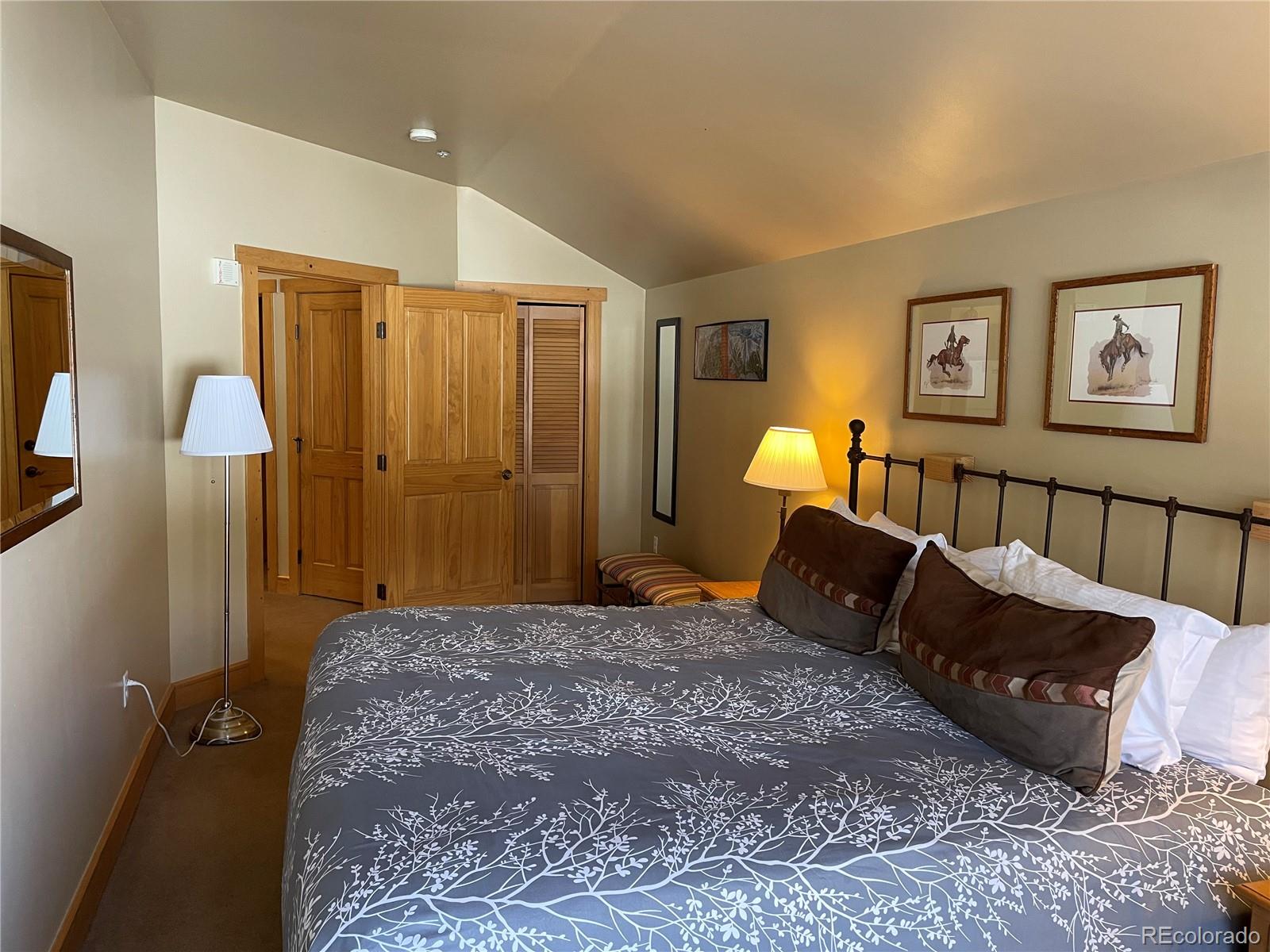 MLS Image #8 for 105  wheeler circle,frisco, Colorado
