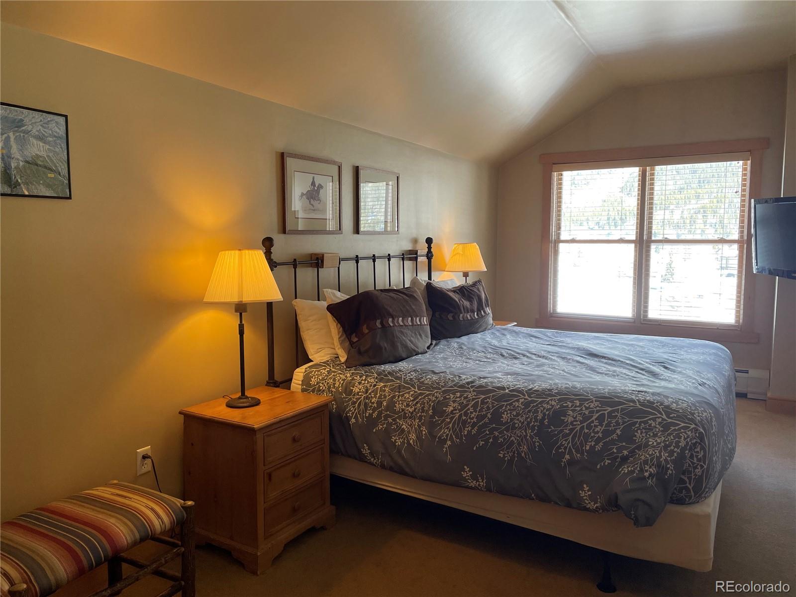 MLS Image #9 for 105  wheeler circle,frisco, Colorado