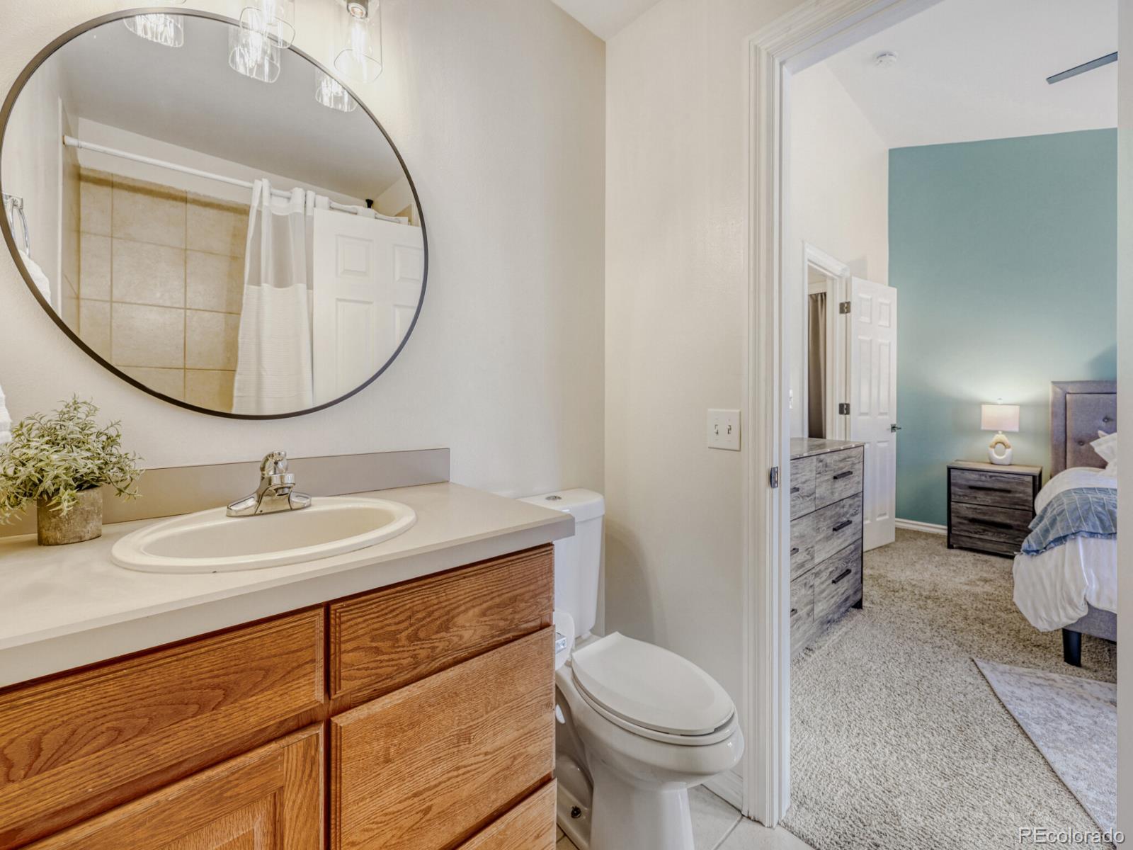 MLS Image #21 for 212 s oman road ,castle rock, Colorado