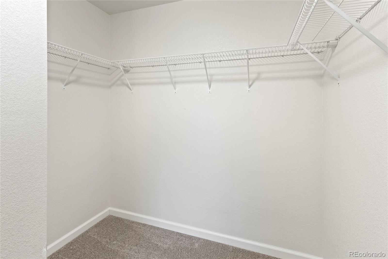 MLS Image #11 for 10439  cheetah winds ,lone tree, Colorado