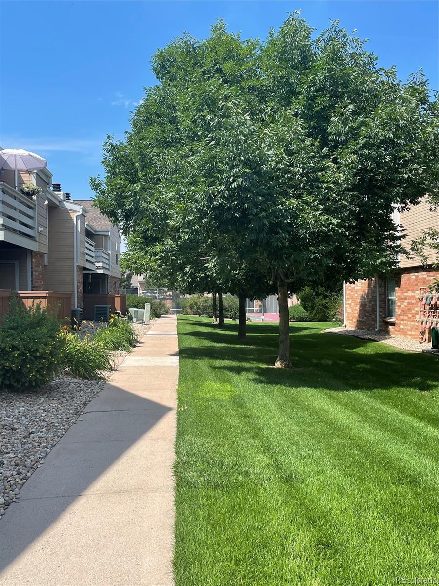 MLS Image #14 for 3322 s ammons street,lakewood, Colorado