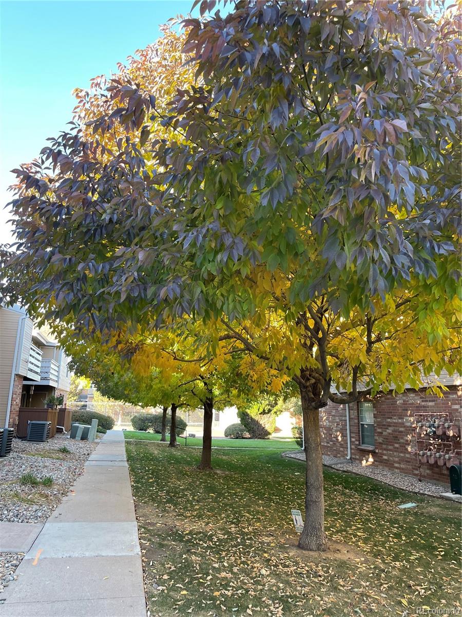 MLS Image #20 for 3322 s ammons street,lakewood, Colorado