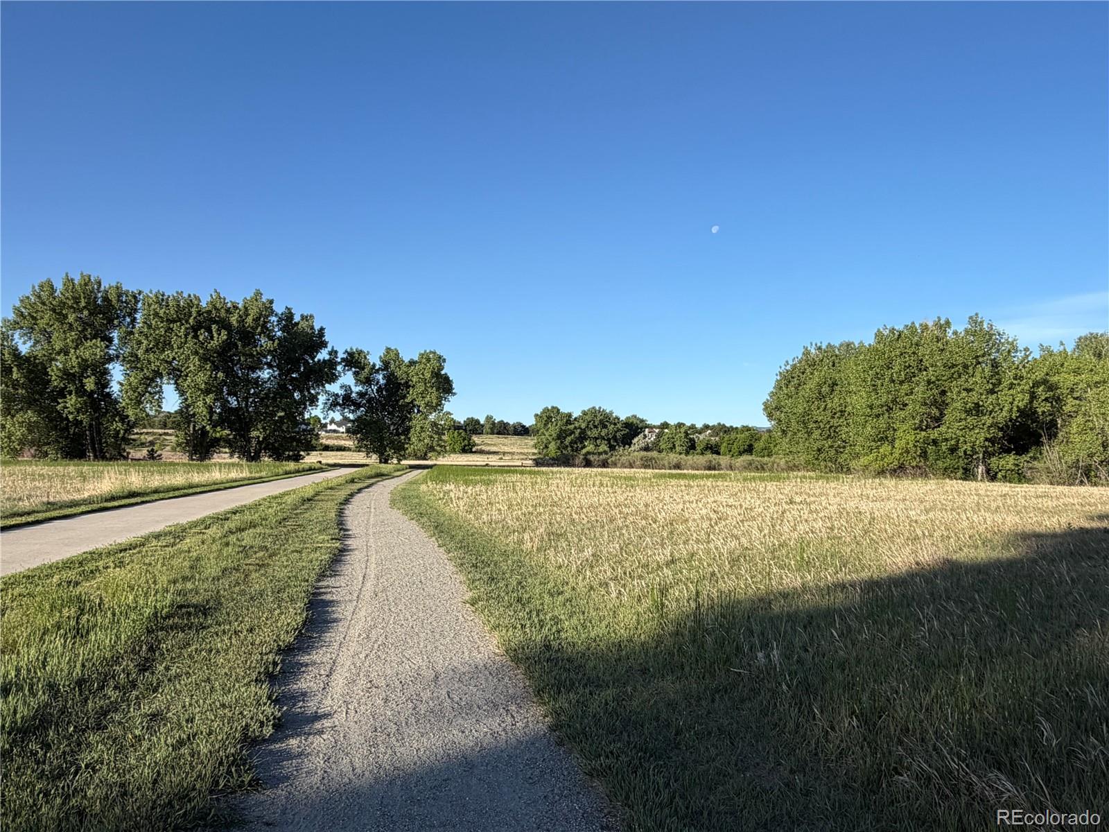 MLS Image #25 for 3322 s ammons street,lakewood, Colorado
