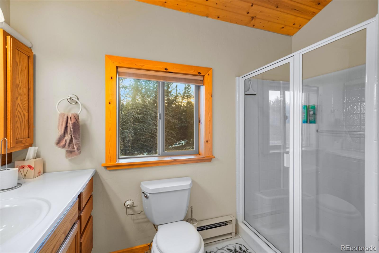 MLS Image #28 for 1081  travois road,como, Colorado